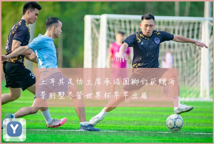 土耳其足协主席承诺国脚们获赠海景别墅尽管世界杯早早出局